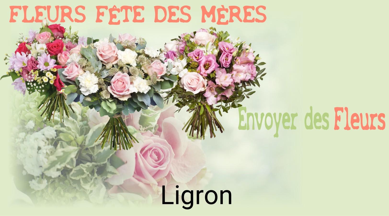 Bouquet de Fête des Mères livré à Ligron